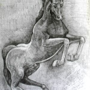 Кон